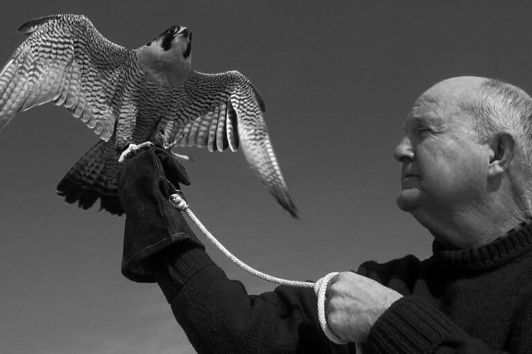 Mitchell Byrd, ornitólogo que ayudó a devolver a los águilas calvas del borde en la zona del Chesapeake