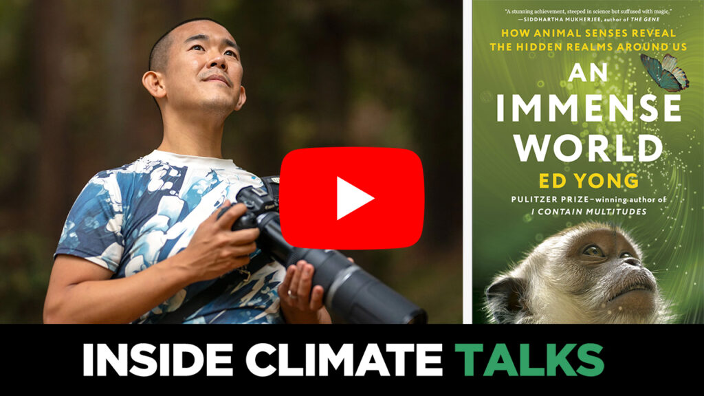 The Extraordinary Sensory Worlds of Animals