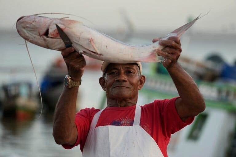Countries push new protections for the Amazon’s iconic migratory catfish