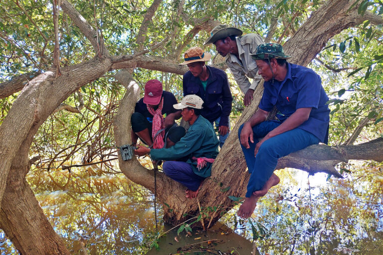 On Southeast Asia’s largest lake, locals wield tech to defend the flooded forest