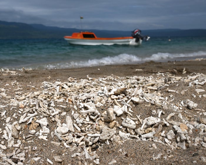 El voto de la ONU sobre la crisis climática muestra un crecimiento del momentum político, dicen expertos| ECO Lara Campiglia