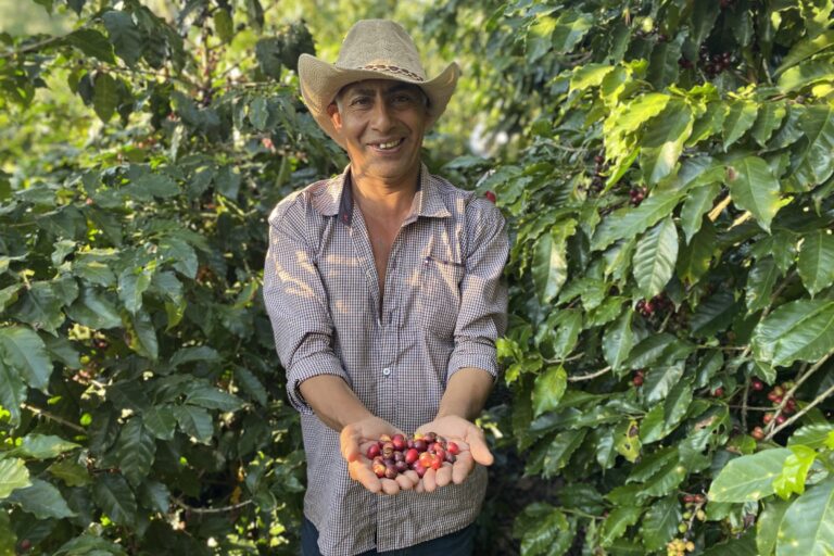 La ley de deforestación de la UE pone en riesgo a los agricultores de café hondureños
