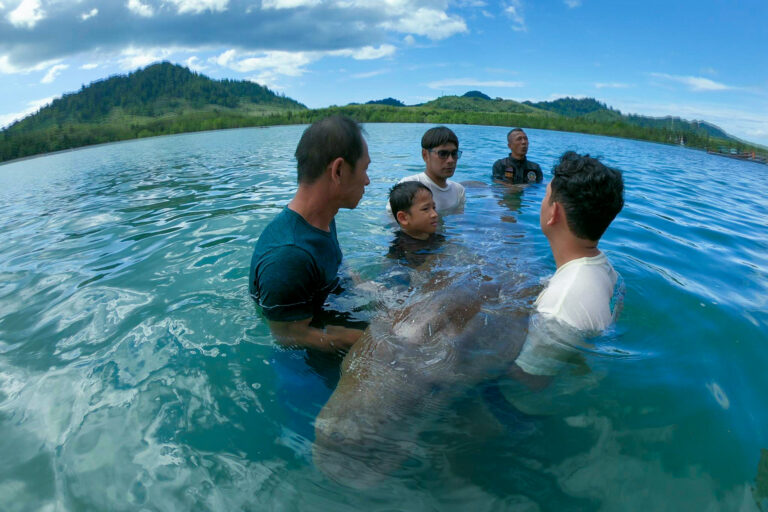 Thai island community rallies to protect beloved dugongs, revive declining seagrass