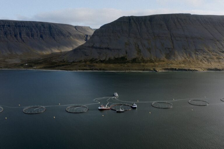 Iceland must protect wild salmon and reject new aquaculture legislation (commentary)