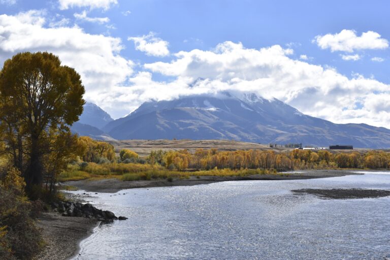 Senate confirms Trump’s pick to lead federal land agency as drilling and mining expand