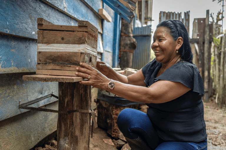 Día Mundial de las Abejas: tres iniciativas de mujeres indígenas para proteger a estos polinizadores en Latinoamérica