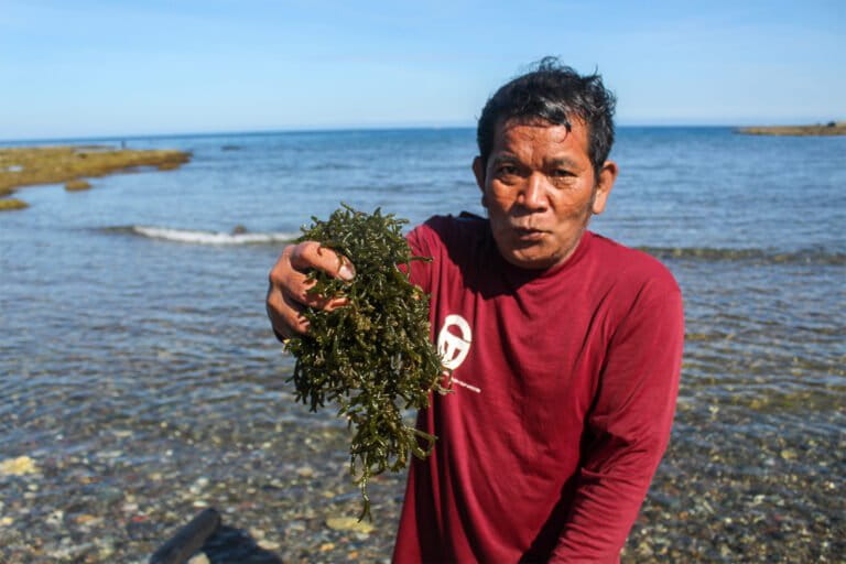 Philippine fishing and Indigenous communities wary of clean energy boom in Marcos stronghold