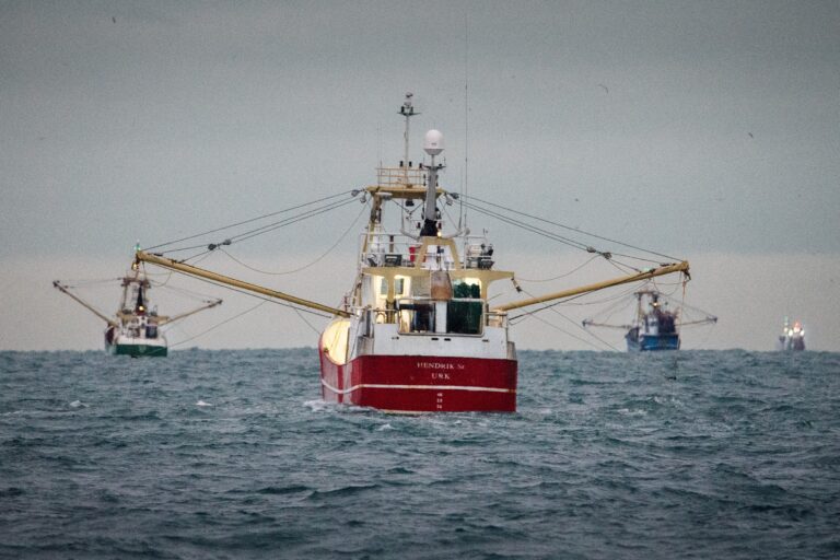 La pesca de arrastre en el fondo del mar cuesta miles de millones cada año en impactos climáticos, según un estudio