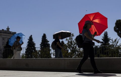 COP31 must persuade countries to make fossil fuel transition plans