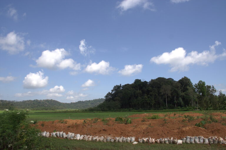 Communities say sacred groves are shrinking in India’s eastern ghats