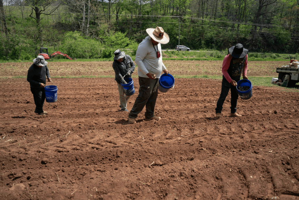 Una mochila de $20 podría ayudar a los trabajadores agrícolas a mantenerse hidratados durante el calor extremo.