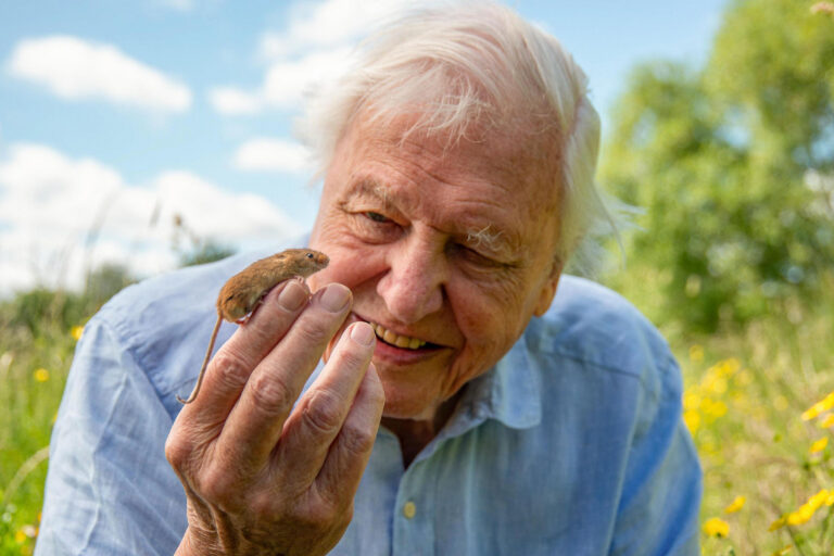 A los 100 años, el mensaje de David Attenborough ya no es solo sobre admiración