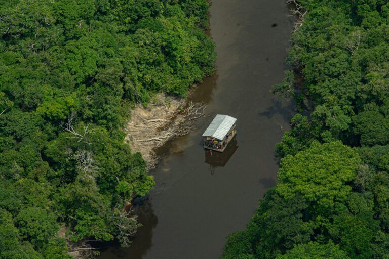 Organized crime adds to environmental destruction in the Amazon, report finds