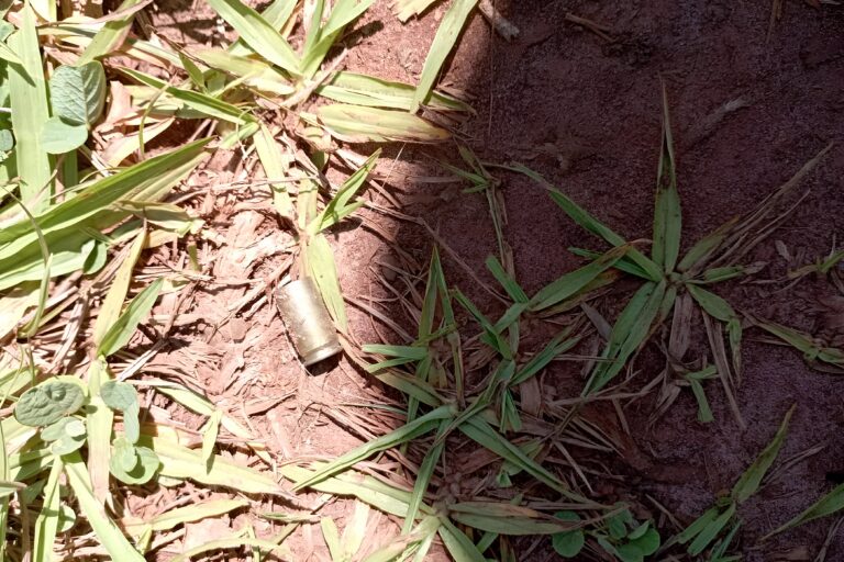 Matanzas relacionadas con conflictos de tierras se duplican en Brasil, la mayoría en la región amazónica