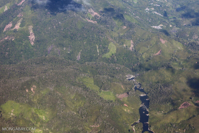 Fire at WCS Makira Natural Park office allegedly linked to patrol efforts