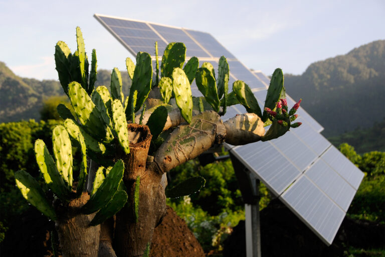 El sol trae energía a emprendedoras en Borneo, pero la desigualdad energética rural persiste