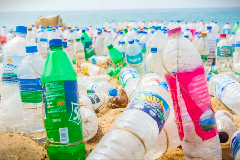 Sri Lanka bans single-use plastic bottles at government events, charges for plastic bags