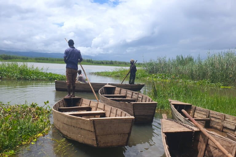 Malawi’s Elephant Marsh: The challenge of protecting a wetland that sustains thousands