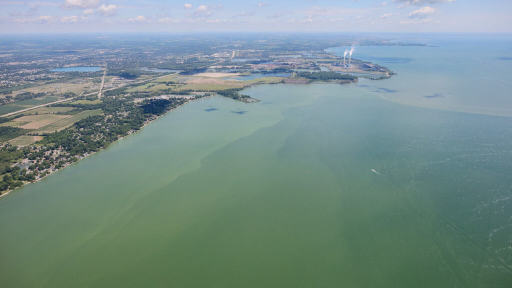 Moderate harmful algal bloom predicted for western Lake Erie