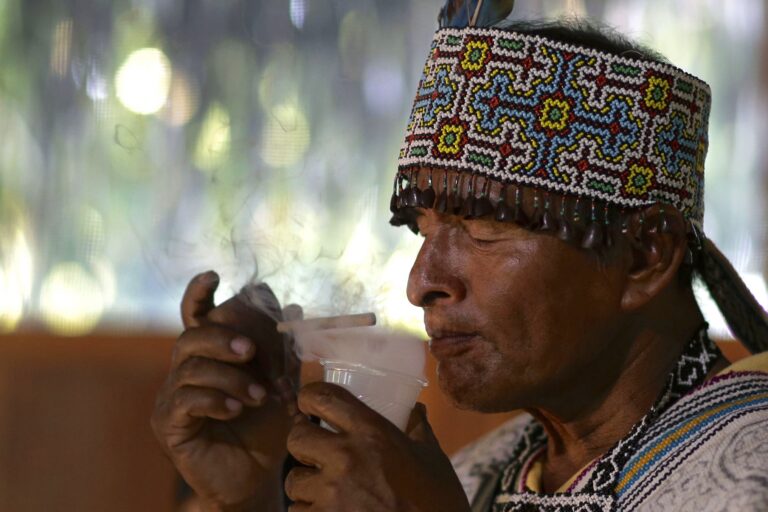 Global pressure on ayahuasca threatens Amazonian plants and knowledge systems