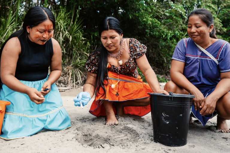 Mujeres Tortuga: la iniciativa del pueblo indígena siekopai para recuperar las charapas del río Aguarico