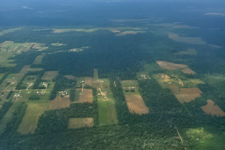 Perú: nuevas imágenes aéreas muestran el avance de la deforestación causada por las colonias menonitas en la Amazonía