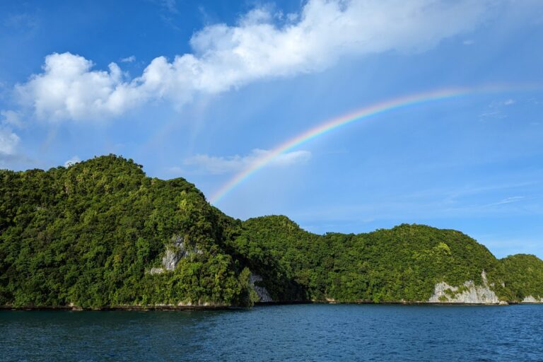 Researchers find dramatic restoration on land and sea after island rat removal
