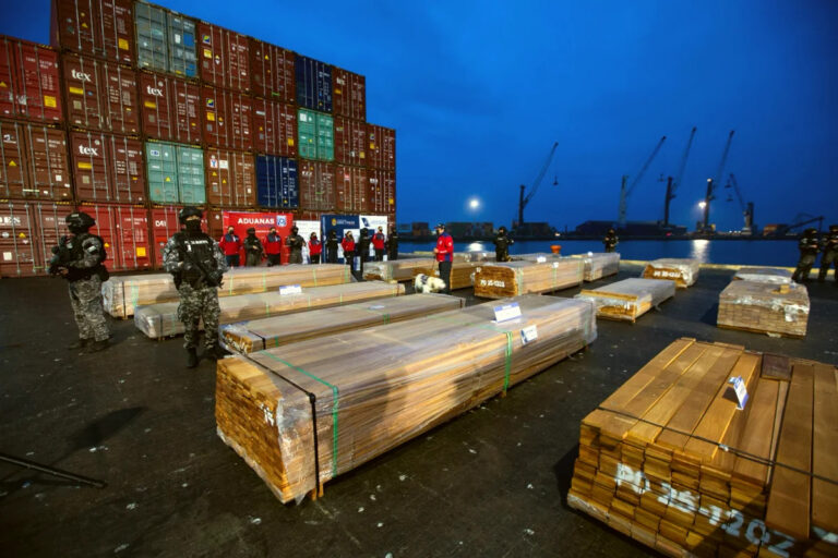 El mecanismo narco que arrasa bosques: cómo llegaron 108 toneladas de cocaína y ketamina impregnadas en madera de Bolivia a Chile