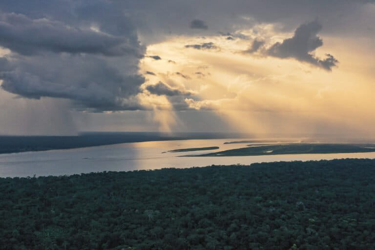 Las granjas de Sudamérica dependen, en parte, de un Amazonas saludable