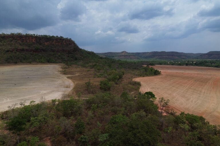 Amazon deforestation declines as Brazil reduces forest loss nationwide