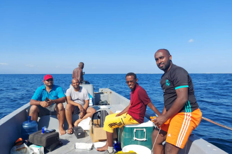 ‘Chemical cocktail’ of pharmaceuticals found in Djibouti coastal waters
