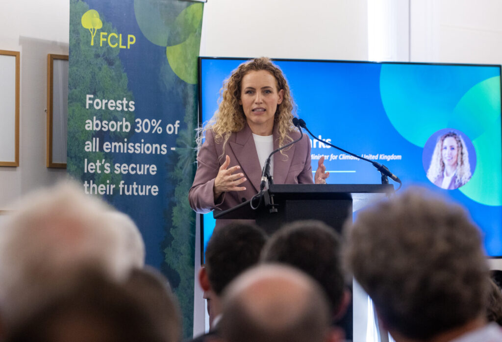 Tropical forest protection fund at risk after UK stalls on pledge
