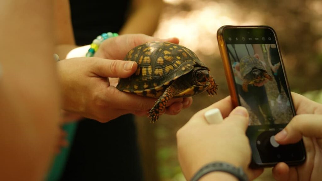 City nature challenge at Mallows Bay