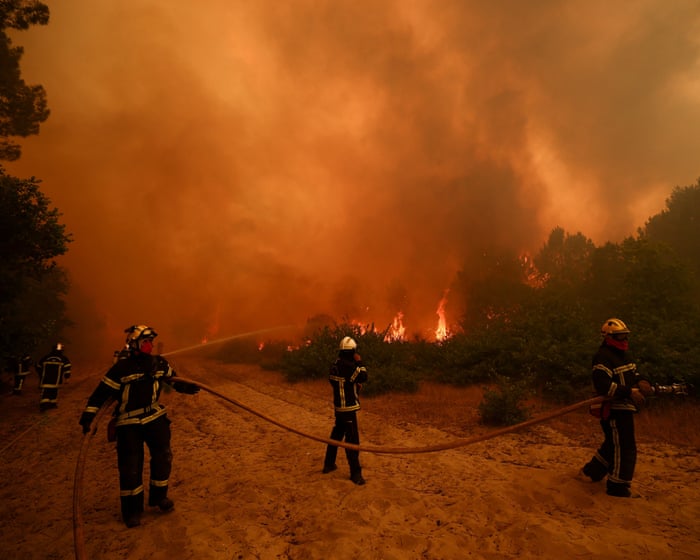 How dangerous are wildfires and how can we stop them from getting worse?