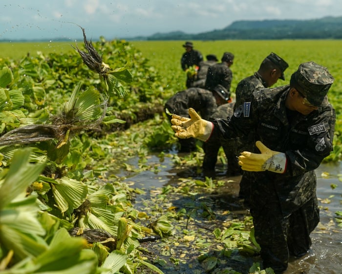 First came the dead fish, then invasive plants. A year later and Lake Suchitlán’s pollution remains a mystery