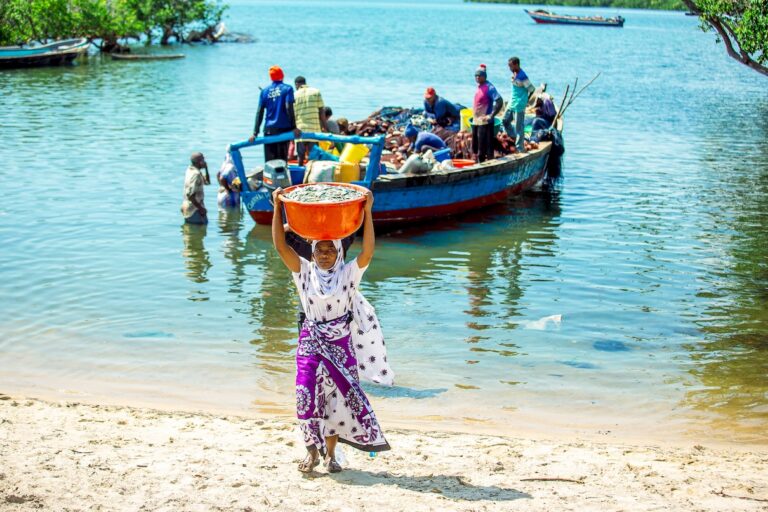 Why Africa should link nutritional data with fisheries management (commentary)