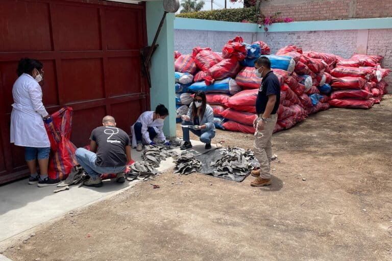 Perú: empresario investigado por tráfico ilegal de especies y crimen organizado continúa exportando aletas de tiburones protegidos