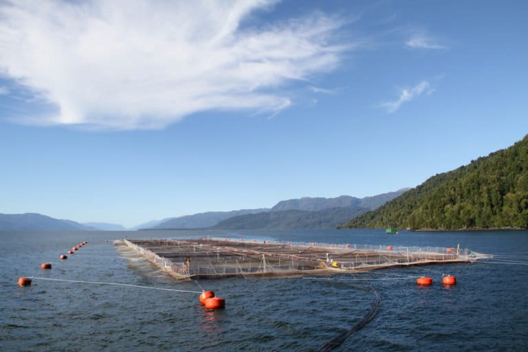 Chile: “Un Ministerio de Hacienda todopoderoso, sin contrapeso, no es un buen escenario para regulaciones de protección ambiental” | ENTREVISTA