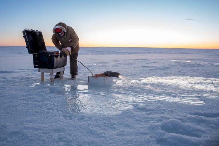 In the Canadian Arctic, an experiment aims to stabilize thinning sea ice