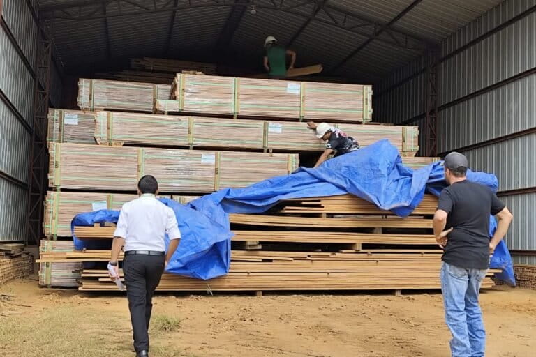 Bolivia, entre los países con mayor deforestación: permisos estatales, tráfico de tierras y narcotráfico amenazan sus bosques