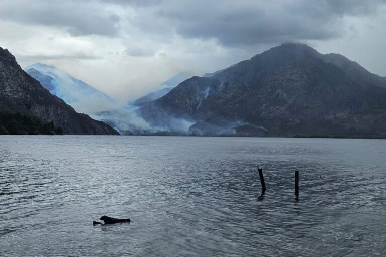 Argentina: incendios forestales afectan la calidad del agua en la Patagonia y expertas alertan sobre el consumo humano | ESTUDIO