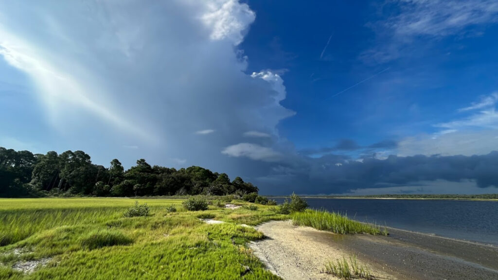 Florida partners supercharge teacher workshop at the Guana Tolomato Matanzas Reserve