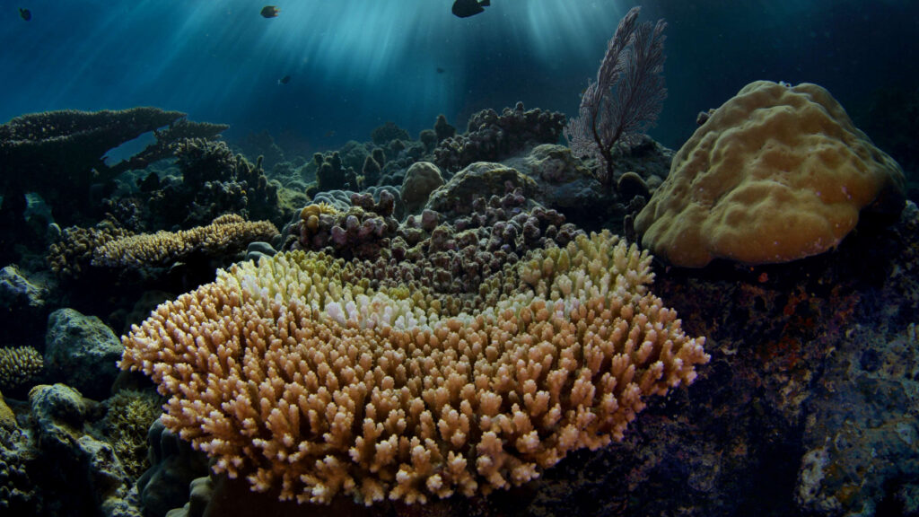 Professional pevelopment workshop brings deep-sea science to Palau’s middle and high school classrooms