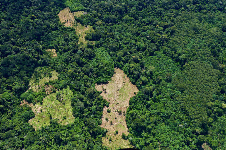 Roads, loggers close in on an unprotected refuge for isolated Kakataibo