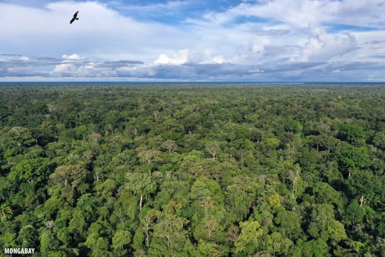 How Brazil’s federal fiscal policy hinders Amazon Rainforest conservation (commentary)