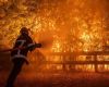 Los incendios en España y Francia golpean a las dos mayores potencias vitivinícolas del mundo