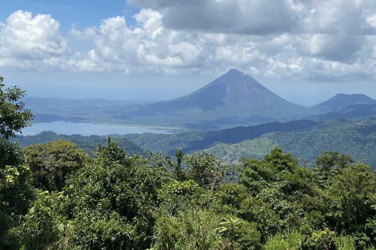 Tropical mountain wildlife are at high risk from climate change impacts, study finds