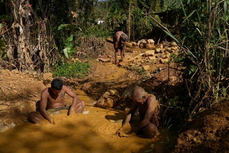 Lo más leído | Emergencia humanitaria por minería en Venezuela, defensor indígena murió bajo custodia ilegal del régimen de Nicaragua, nutrias felinas del mar bajo amenaza en Chile y más