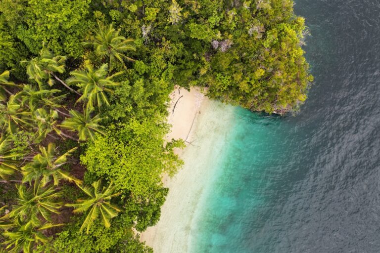 Warming world could push Southeast Asia forests toward thermal limits, new study