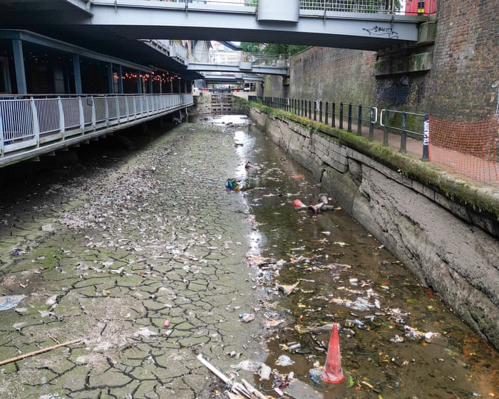All bodies of water in England polluted with toxic chemicals, official data shows